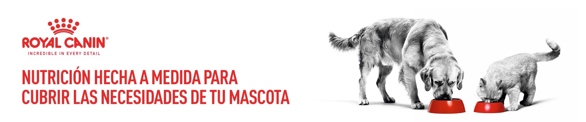 Imagen de Royal Canin